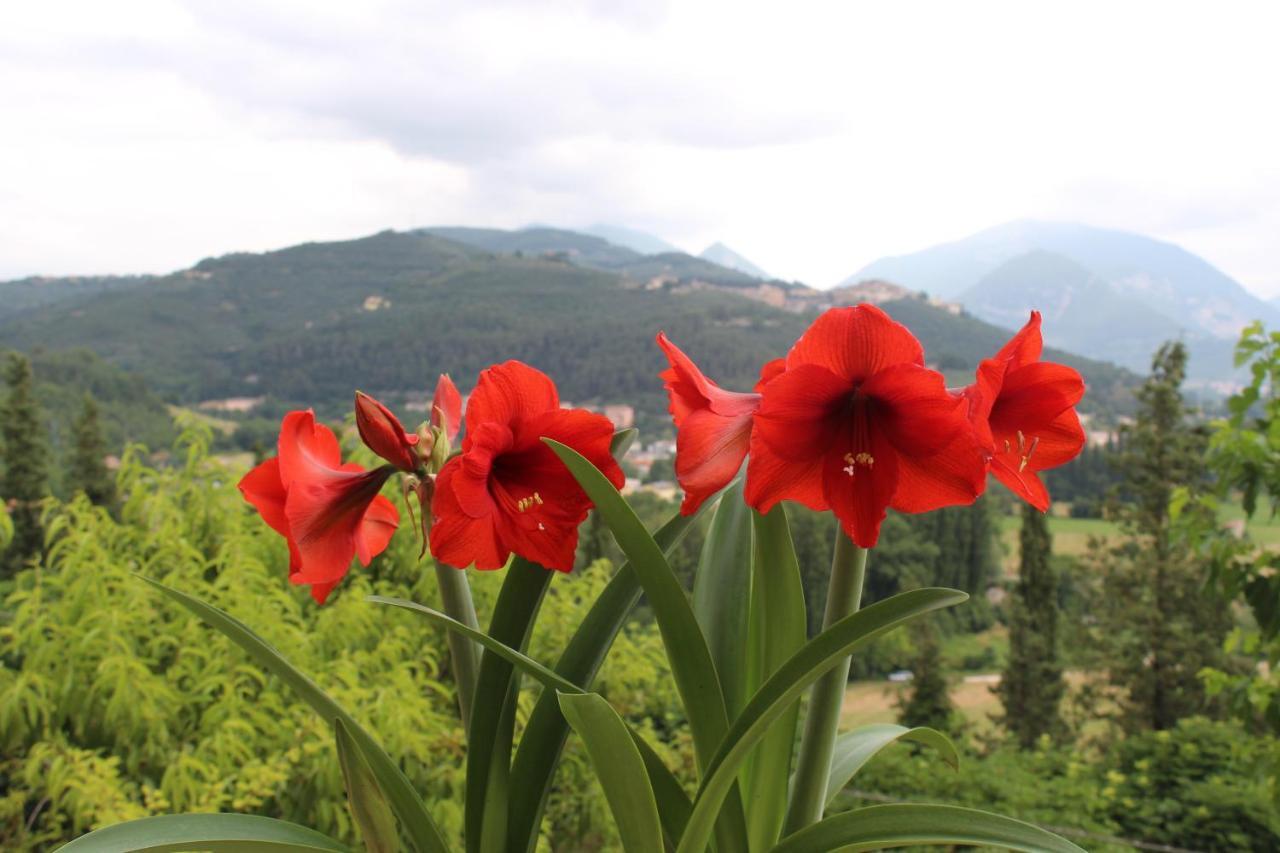Il Castello Sul Lago Arrone Экстерьер фото